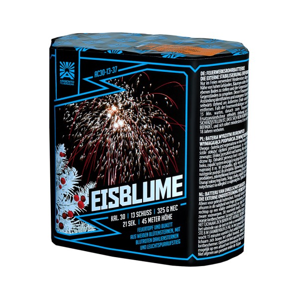 AC30-13-37 "Eisblume" von Argento Funke